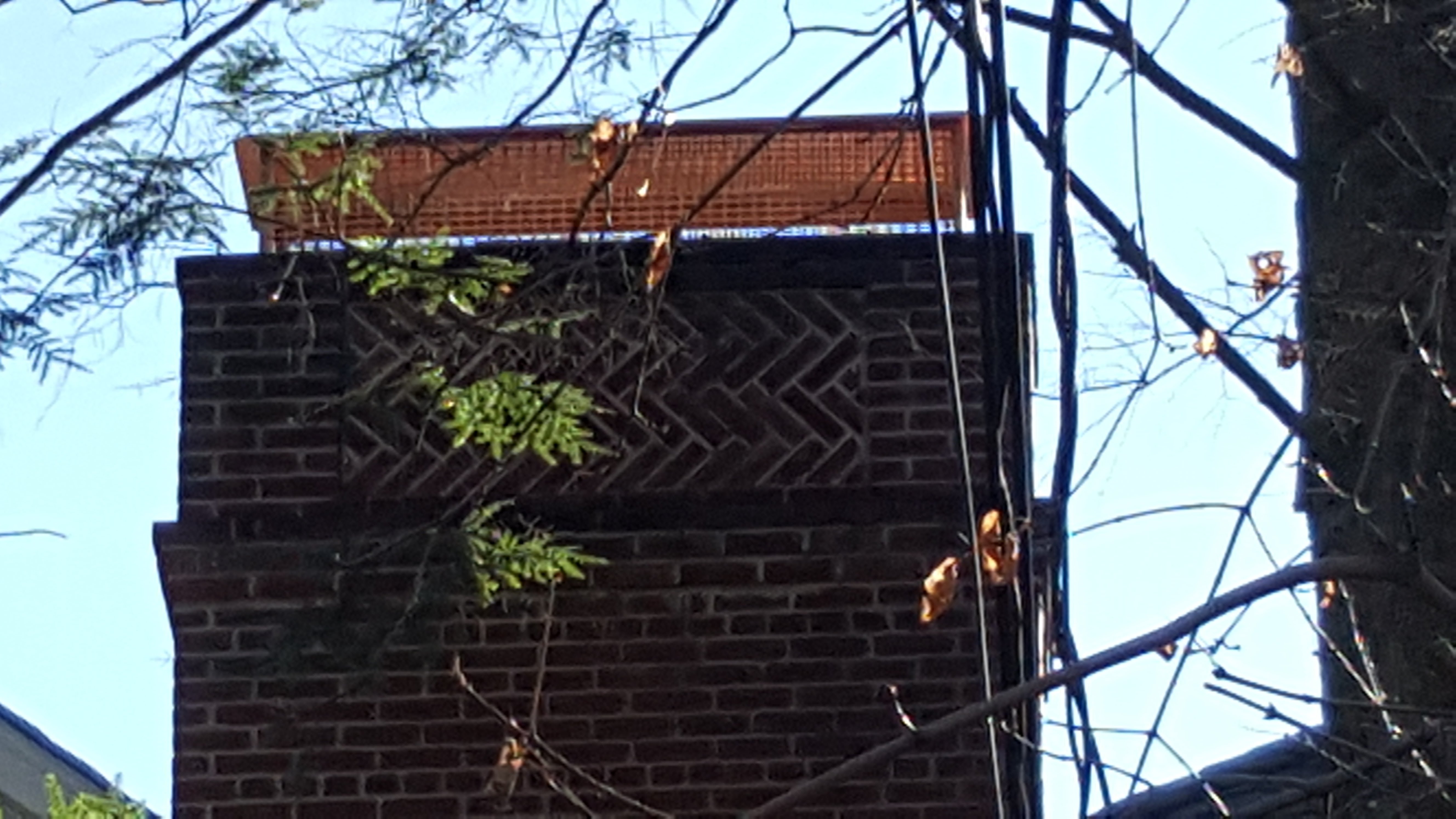 Animal-proof chimney cap protecting home in Southampton, New York